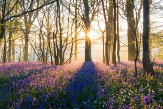 Landschapsfotografie